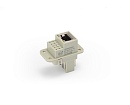Вставка-розетка HQ-RJ45/10-FC 1300000200001 - фото 1